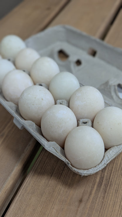 Local duck eggs
